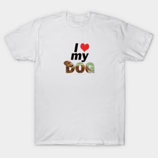 I love (heart) my dog - Goldendoodle oil painting word art T-Shirt